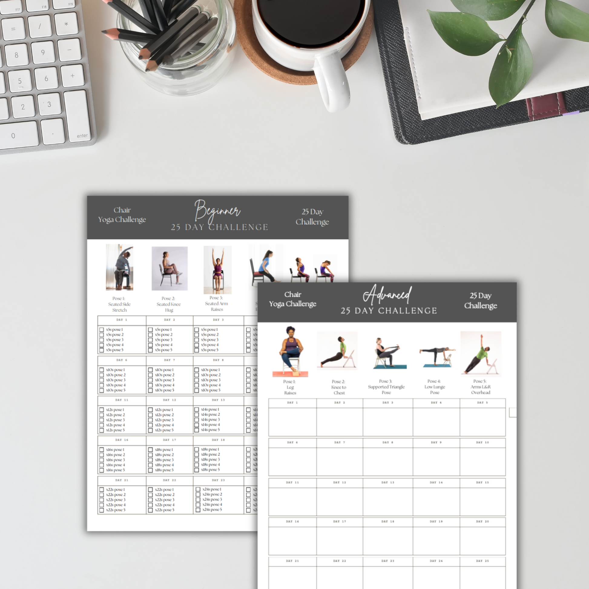 fitness program,fitness ebook,fitness template,yoga ebook,gym packet,fitness planner,workout template,workout guide, ebook,personal training, yoga class,yoga instructor,digital fitness plan,Chair Yoga, Chair Exercises,25 day challenge,home workout