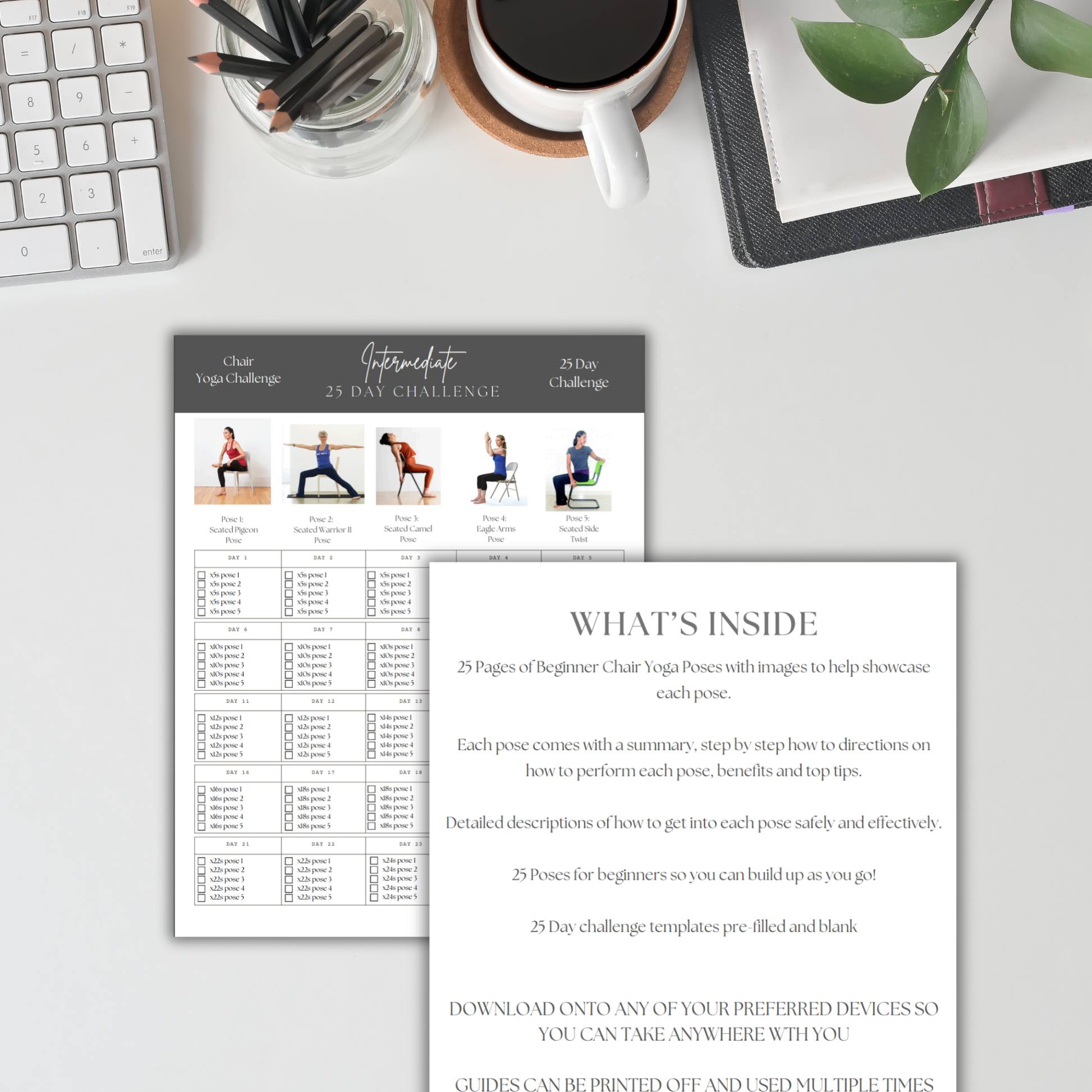 fitness program,fitness ebook, mini ebook, fitness template,yoga ebook,fitness planner,workout template,workout guide, ebook,personal training, yoga class,yoga instructor,digital fitness plan,Chair Yoga, Chair Exercises,25 day challenge,home workout